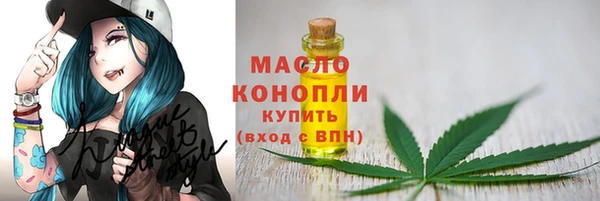 тгк Абаза