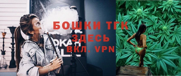 тгк Абаза