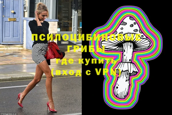 тгк Абаза
