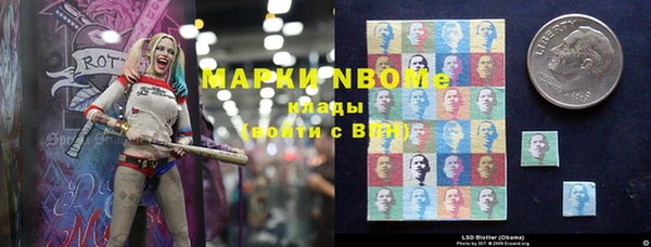 шишки Алзамай