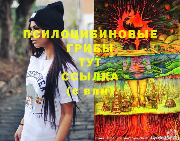тгк Абаза