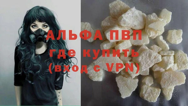 шишки Алзамай