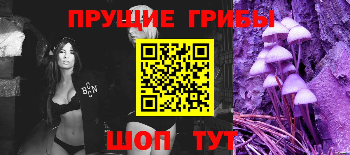 Галлюциногенные грибы GOLDEN TEACHER  Вход с VPN  Новоалександровск 