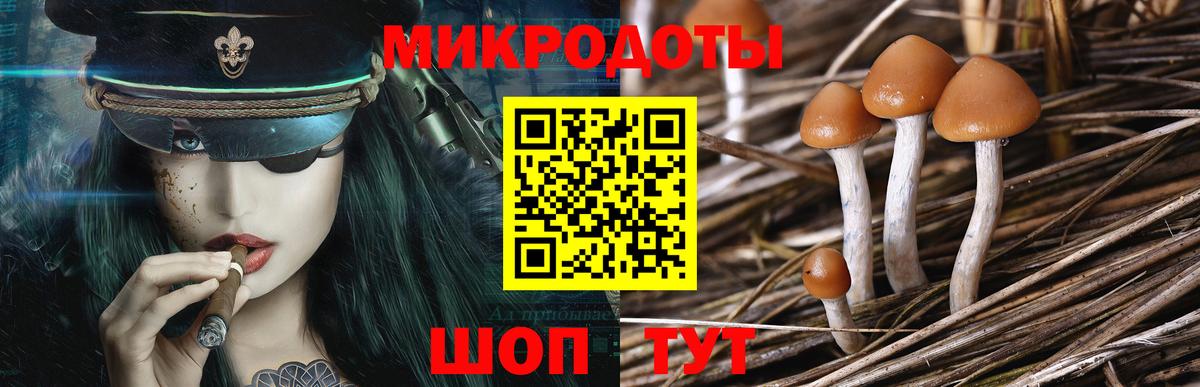 Галлюциногенные грибы Magic Shrooms Новоалександровск