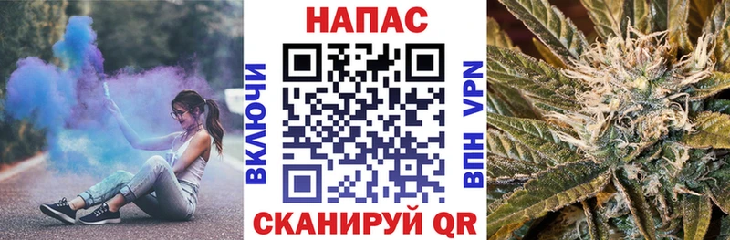Каннабис планчик Новоалександровск