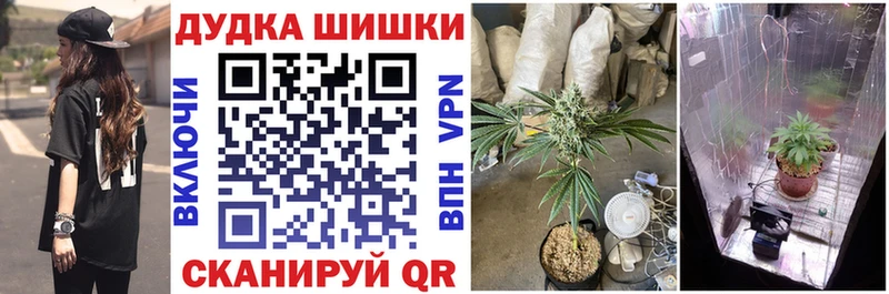 Канабис LSD WEED  купить наркоту  KRAKEN tor  Новоалександровск 